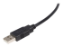 USB2HAB10 - StarTech.com 3 m Certifierad USB 2.0 A- till B-kabel - Närbild