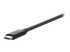 F4U097VF - Belkin Thunderbolt 3 Dock Pro - Närbild