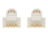 N261AB-S06-WH - Eaton Tripp Lite Series Safe-IT Cat6a 10G Snagless Antibacterial Slim UTP Ethernet Cable (RJ45 M/M), White, 6 ft. (1.83 m) - Närbild