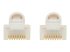N261AB-S02-WH - Eaton Tripp Lite Series Safe-IT Cat6a 10G Snagless Antibacterial Slim UTP Ethernet Cable (RJ45 M/M), White, 2 ft. (0.61 m) - Närbild
