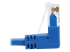 N204-S03-BL-UD - Eaton Tripp Lite Series Up/Down-Angle Cat6 Gigabit Molded Slim UTP Ethernet Cable (RJ45 Up-Angle M to RJ45 Down-Angle M), Blue, 3 ft. - Närbild