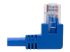 N204-001-BL-RA - Eaton Tripp Lite Series Right-Angle Cat6 Gigabit Molded UTP Ethernet Cable (RJ45 Right-Angle M to RJ45 M), Blue, 1 ft. (0.31 m) - Närbild