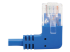 N204-S02-BL-RA - Eaton Tripp Lite Series Right-Angle Cat6 Gigabit Molded Slim UTP Ethernet Cable (RJ45 Right-Angle M to RJ45 M), Blue, 2 ft. (0.61 m) - Närbild